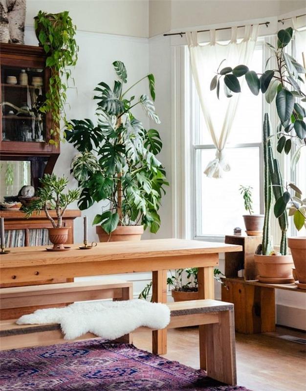 bytová rastlina, veľký kvetináč monstera a ďalšie rastliny v kvetináčoch, orientálny koberec, stôl a blond drevený podnos