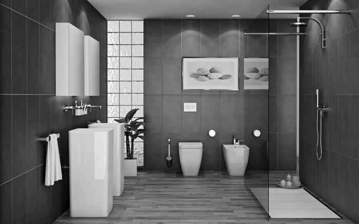 modern tvåfärgad badrumsinredning med antracitgrå plattor och vita möbler, vilken växt för badrum