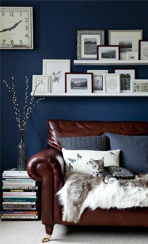 obývačka-koža-tmavo-hnedá-obrazy-modrá-stena-mačka-hnedá-kvetinová sedačka