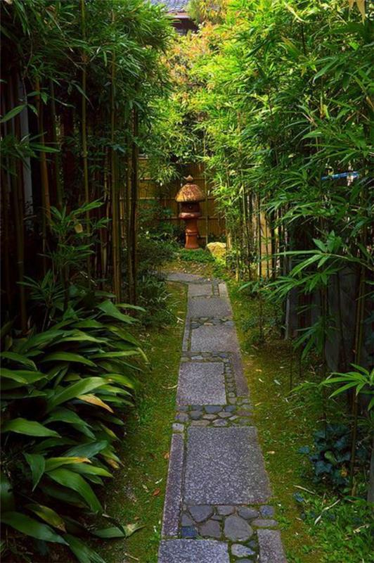 مسار الحديقة اليابانية من الخيزران