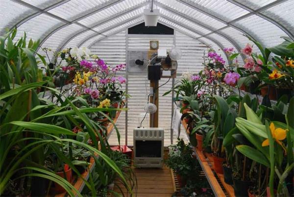 inomhus-polykarbonat-trädgård-växthus