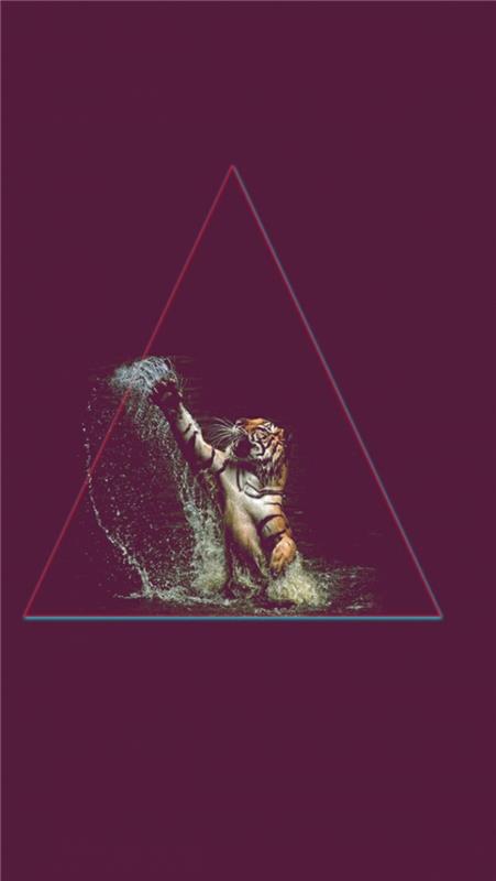 Tiger che gioca con acqua, triangolo con tigre, photo per schermo phoneo