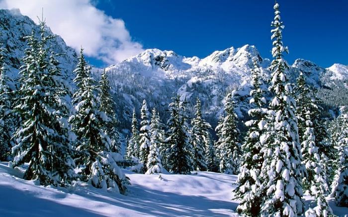alpské-lyžiarske stredisko-príroda-pekne-profesionálne-kolíky
