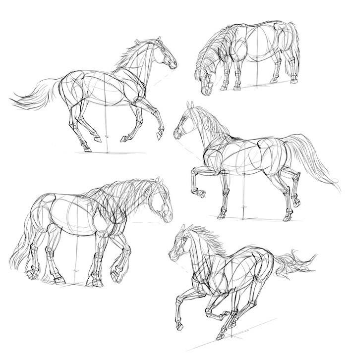 krok za krokom, ako nakresliť koňa, veci na vysledovanie, návod na kutilstvo, čiernobiely náčrt