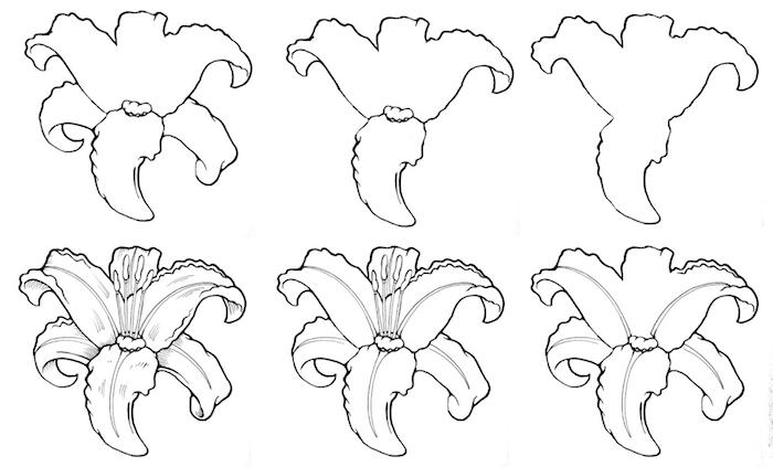 krok za krokom chladný čiernobiely kvet ľalie, farebnú kresbu kresby kvetov je možné ľahko reprodukovať krok za krokom