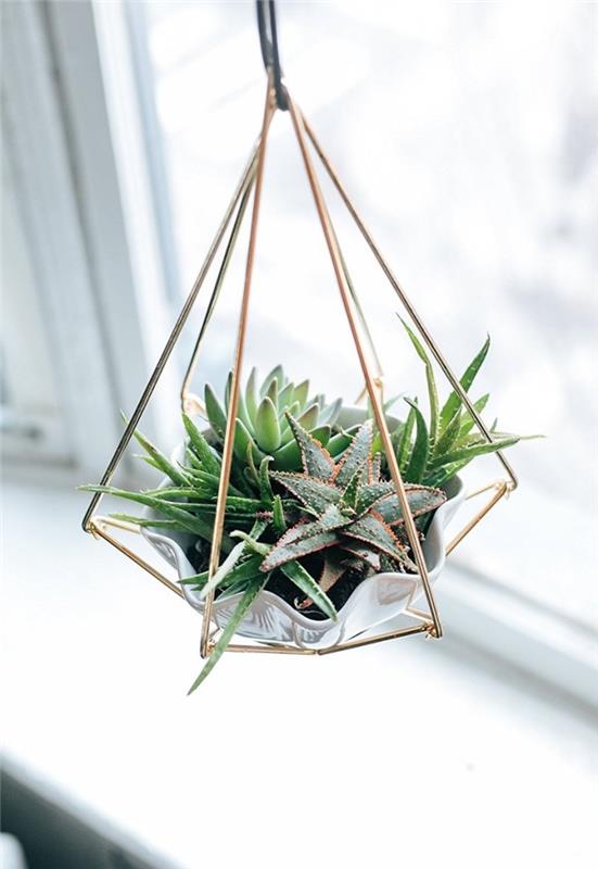 lätt vårens DIY -idé, plantera terrariummodell med succulenter i skål och metallpyramidhängare