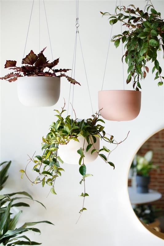 matt effekt hängande krukmodeller, exempel på hur du kan dekorera din inredning med hängande växter och moderna krukor
