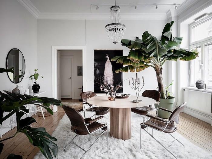 nápad na originálny dizajn, kožené stoličky, nadýchaný biely koberec, obrovský črepníkový banánovník, parkety zo svetlého dreva, biele steny, elegantný luster