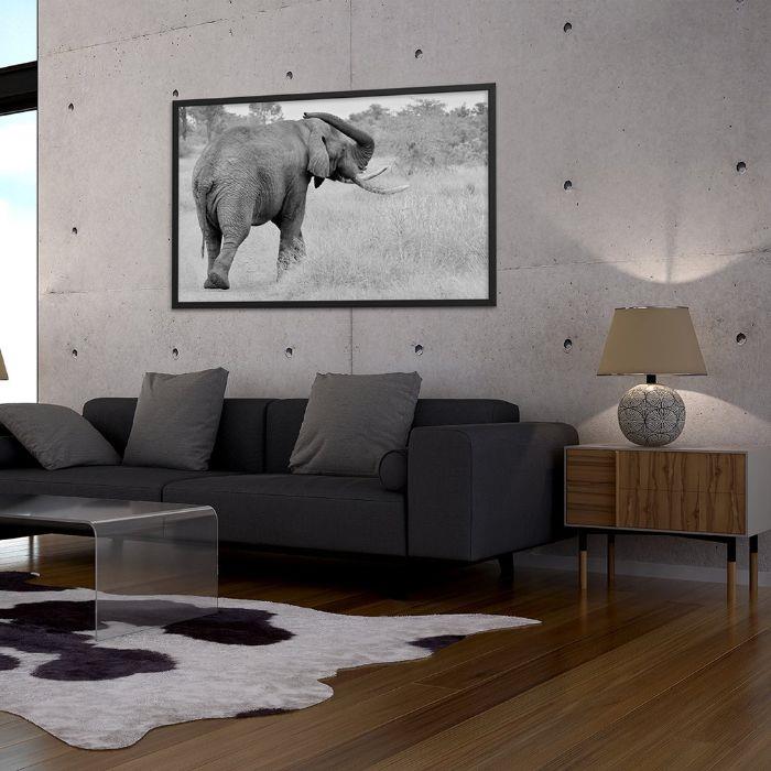 Slon africký pozastavil maľovanie v sivobielej obývačke s akcentmi industriálneho dekoru