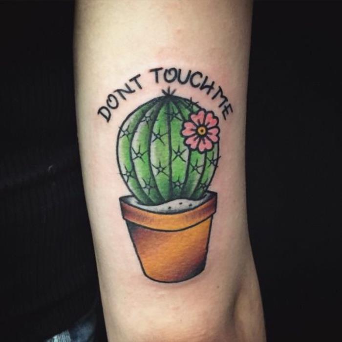Staré tetovanie na kaktuse sa ma nedotýka, čo znamená
