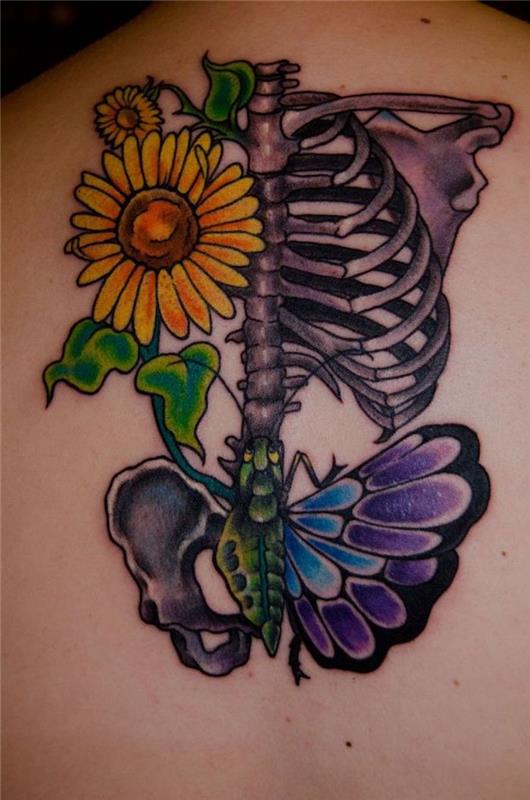 motýľové tetovanie, farebné kreslenie tela, tetovanie slnečnice a motýľa