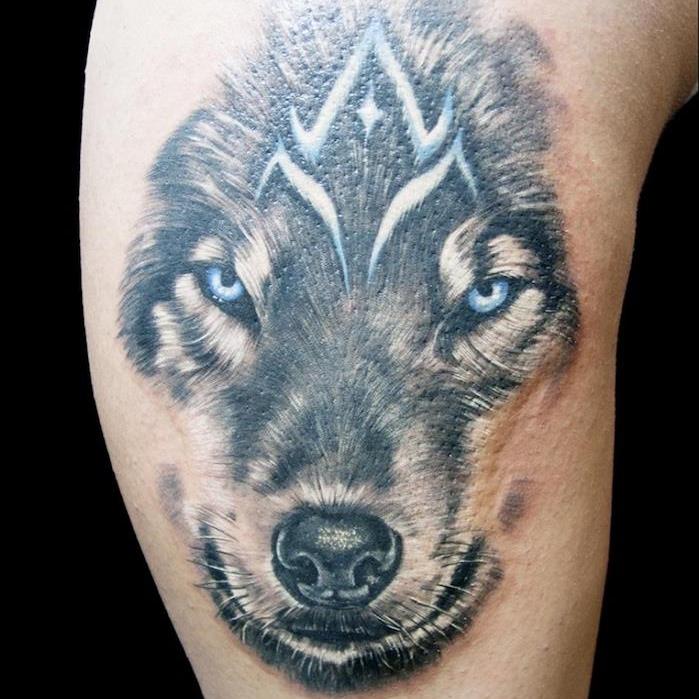 tetovanie zvierat, kresba vlčej hlavy s modrými očami, symbolický nápad na tetovanie so zvieraťom
