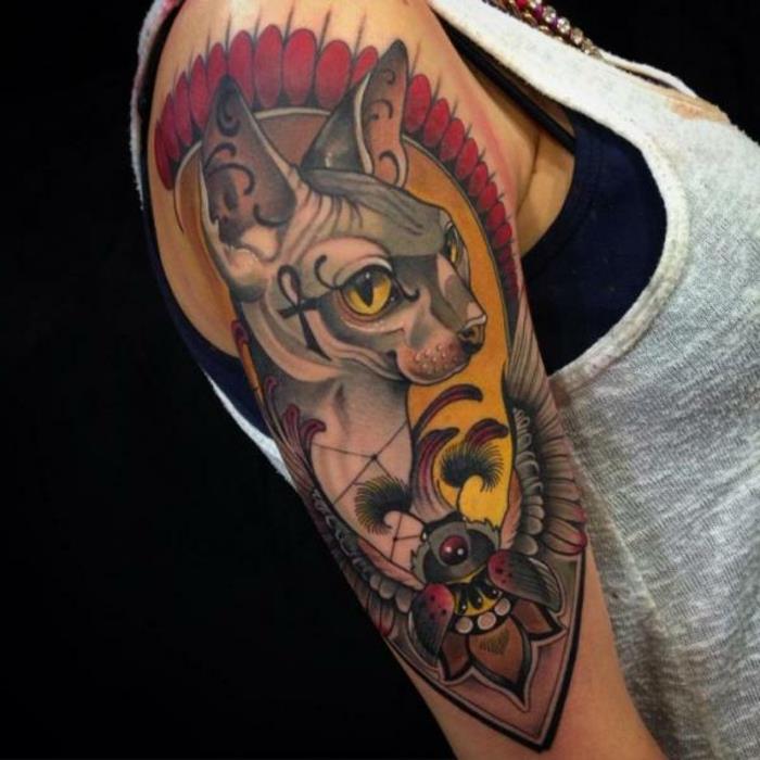 tetovanie manžety sphynx, sivá mačka a farebné pozadie v červenej a žltej farbe
