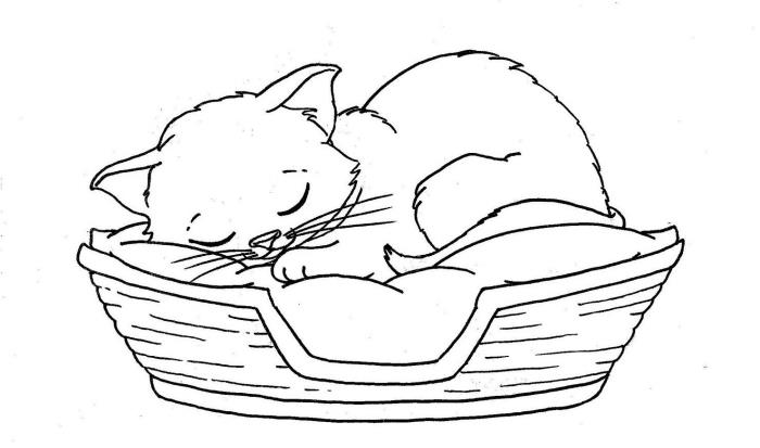 idé hur man gör en söt enkel kattritning, vit och svart ritmall med sovkatt på en vävd korgsäng