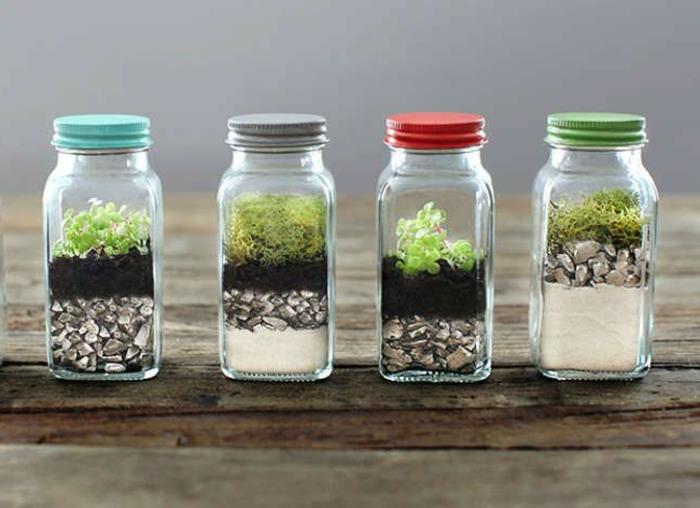 terrarium-hur-att-dekorera-med-ett-terrarium-hur-att-dekorera-en-vacker-variant