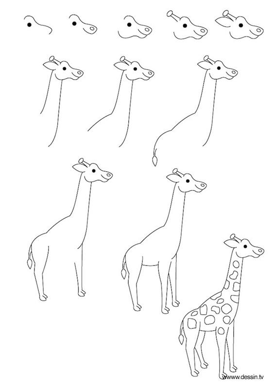 fotka k perokresbe, ako nakresliť žirafu, krok za krokom, kutilský návod, čiernobiely náčrt