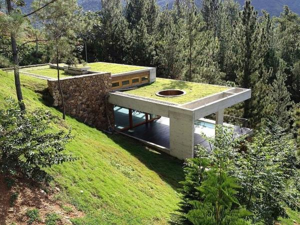 العمارة الخضراء-السقف الأخضر-المناخ الحيوي