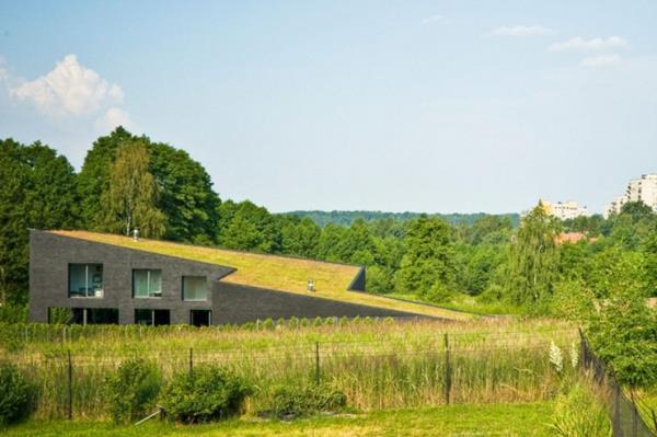 grönt tak-i ett ovanligt hus