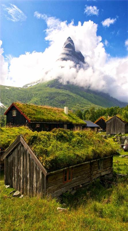 grönt tak-i-harmoni-med-naturen