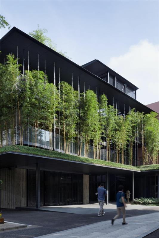 سقف-أخضر-أفكار-فريدة-للعمارة-الخضراء
