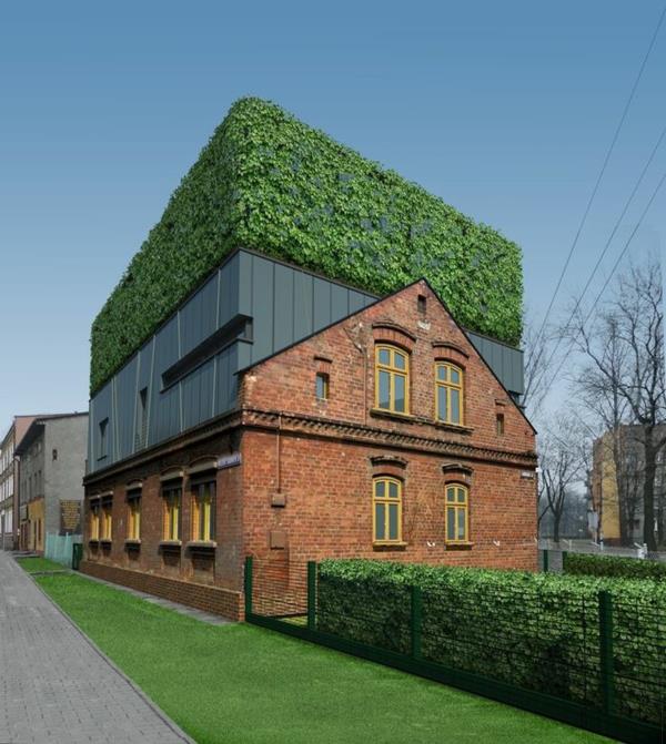 gröna tak-vackra-ekologiska hus