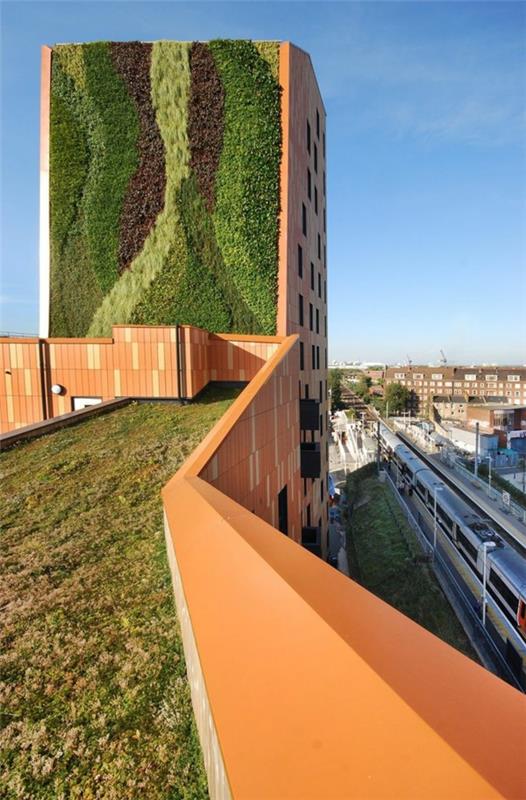 العمارة الخضراء في المدن
