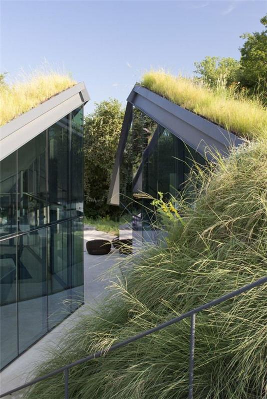منزل-سقف-زجاجي-أخضر