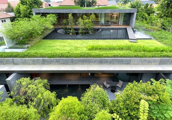 grönt tak-modernt-betong-hus-med-det-gröna taket