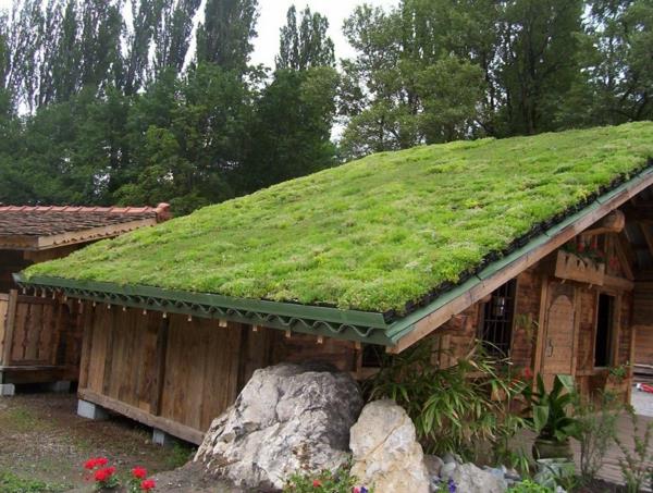أخضر-سقف-صغير-أخضر-كوخ