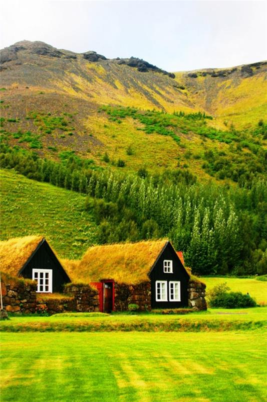 البيوت الخضراء الصغيرة