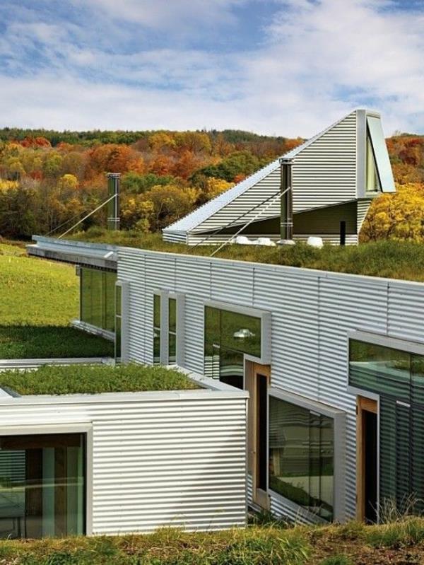 سقف أخضر لبيوت مكعبة