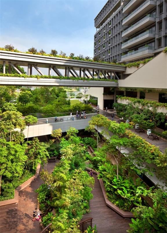 green-roof-green-roof-of-the-world