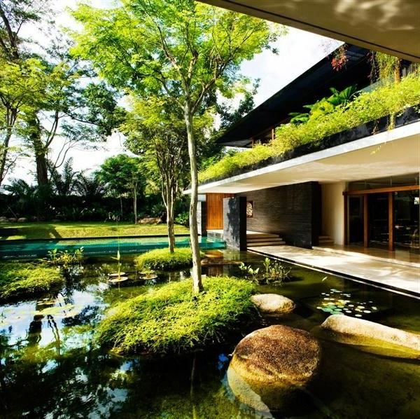 grönt tak-ett-samtida-hus