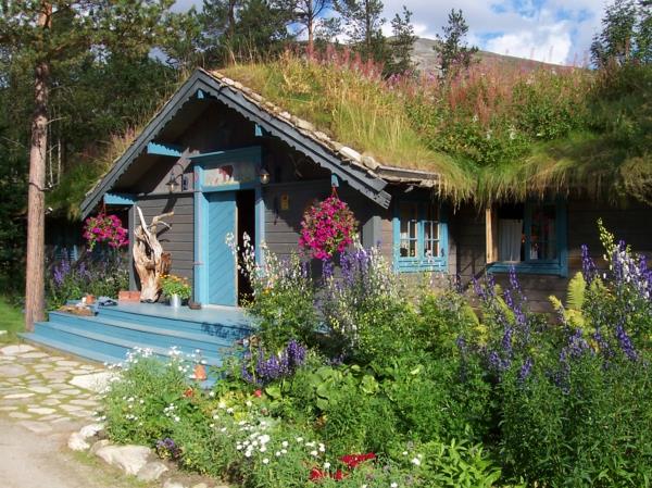 grönt tak-lite-blått-hus