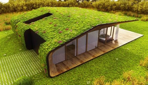 منزل ذو سقف أخضر فريد من نوعه مع سقف أخضر