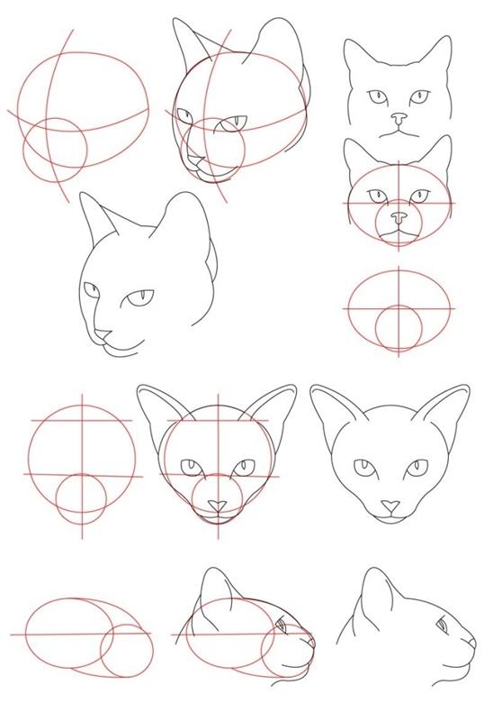 handledning för att lära sig att rita ett katthuvud utan päls, lätt kattritningsidé för nybörjare