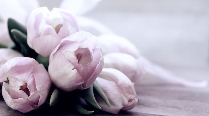 Vackert foto av tulpanbukett, mors dagbild, mors dagspresent, de vackraste bilderna, rosa tulpaner