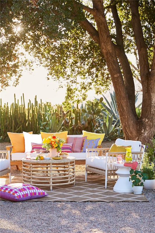 en kaktusträdgård bakom en uppsättning möbler dekorerade med mångfärgade kuddar