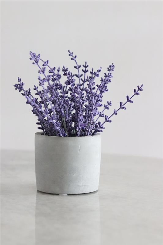 en lavendelkeramikblomkruka på köksbänken lavendeldeco