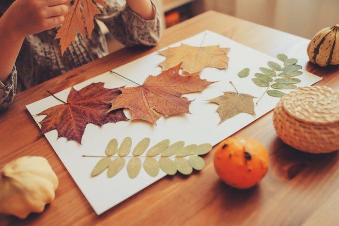 من السهل صنع فن الأرض ، والأوراق الميتة والفروع الملصقة على الورق ، والنشاط اليدوي لرياض الأطفال في الخريف