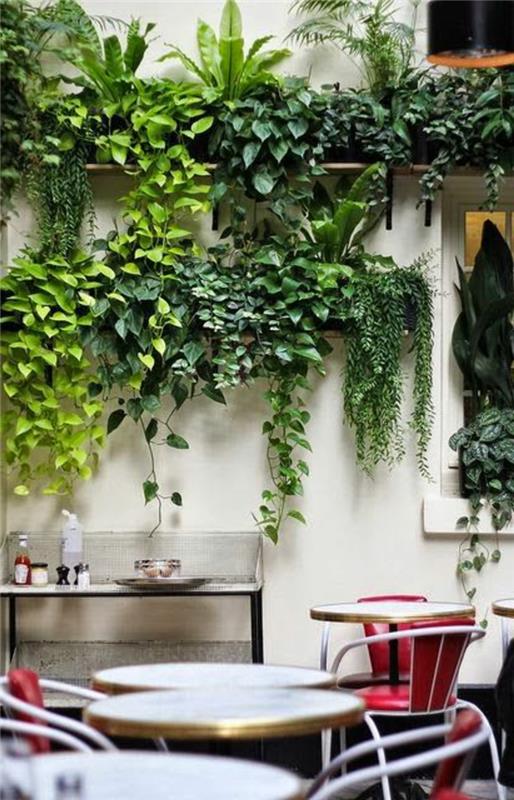 vonkajší obklad steny s policami zo svetlého dreva na uloženie kvetináčov so zelenými rastlinami, plazenie, zelená vonkajšia dekorácia steny, priestor zariadený barovými stoličkami a okrúhlymi barovými stolmi