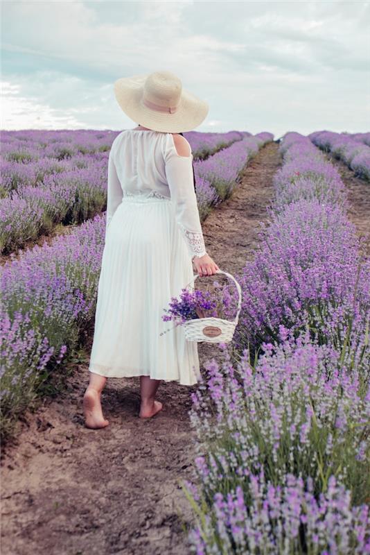 en kvinna i lavendelfälten gör med lavendelvit klänning och stor hatt