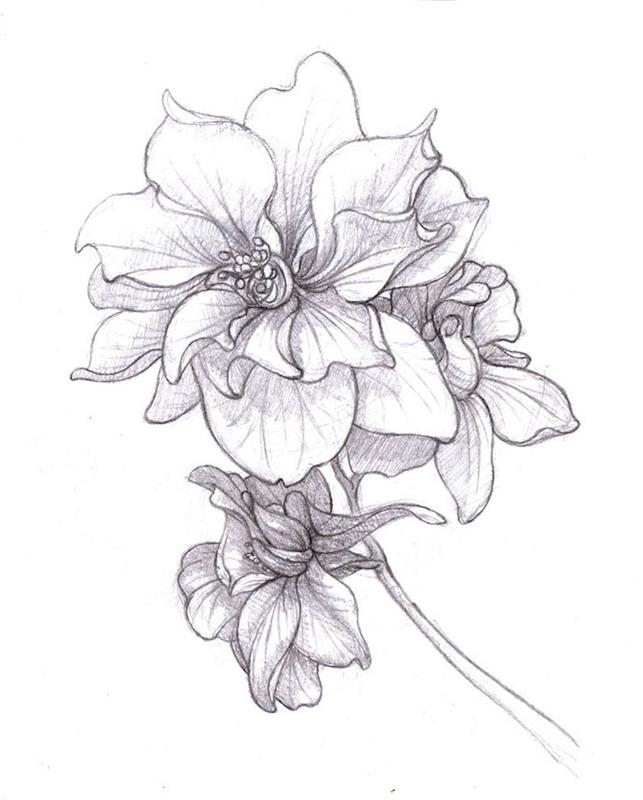 Otvorená kresba ceruzkou čiernou kresbou, kresba kvetov farebná kresba krok za krokom umenie jednoducho vysvetlené
