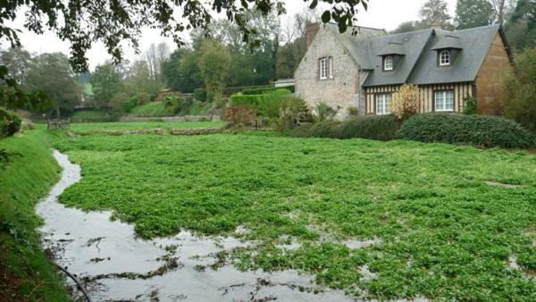 منزل في بيير Veules-les-Roses-garden-river