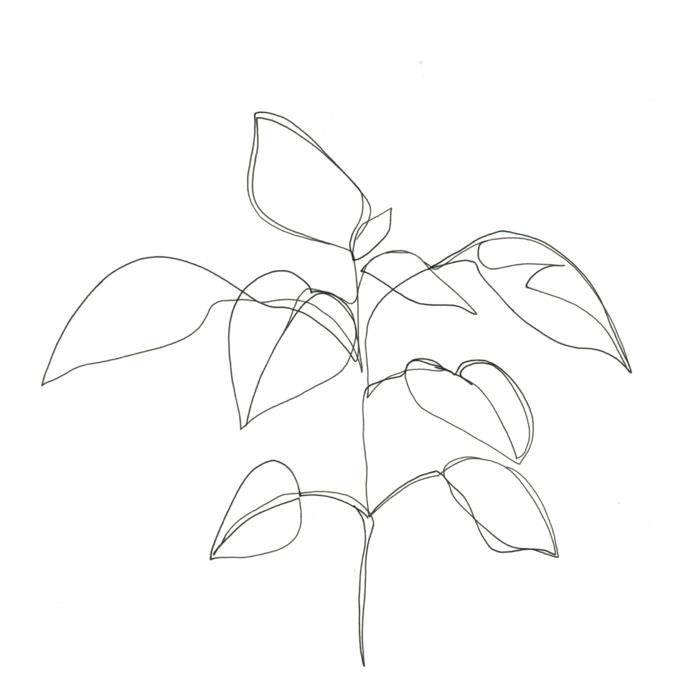 Svartvit ritning hur man ritar svart och vit stil växt en linje