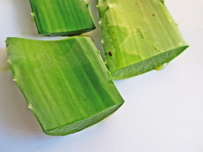 používať aloe vera na extrakciu pokožky gél zelený list lekárska rastlina domov