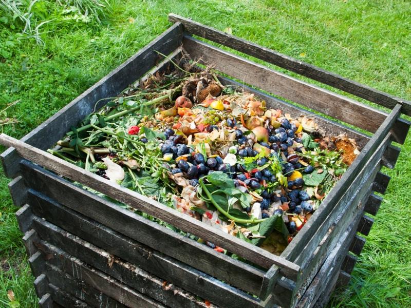 žihľavový hnoj použite ako kompost v záhrade