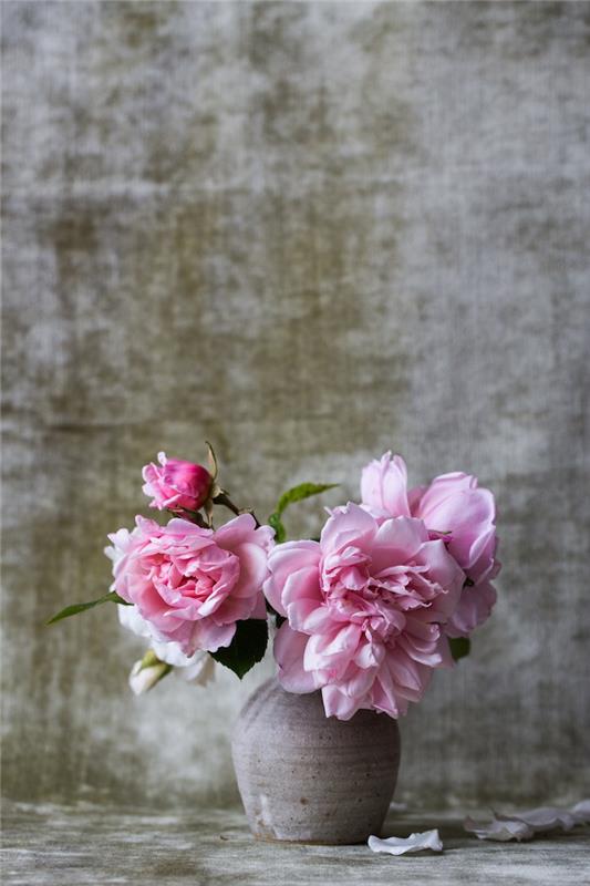 Rosa pioner i en vas, mors dagspresent, mors dagbild, cool idé hur man firar, vackert blommafoto