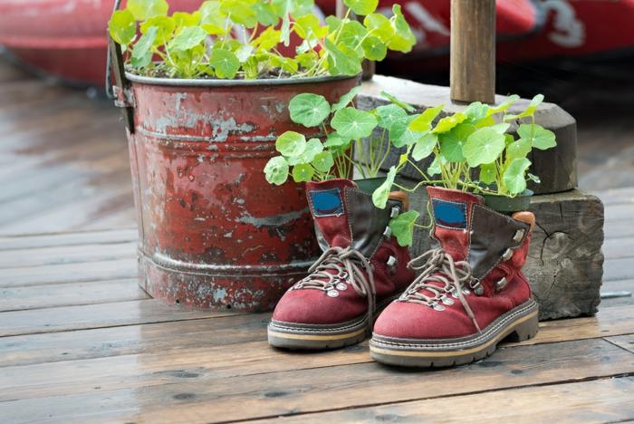skor med planterade blommor, plankgolv, gammal metalltätning med planterade grödor