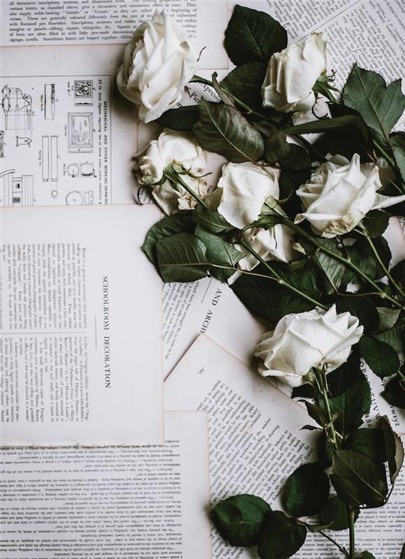 Vita rosor på papper med intressanta texter skickar en lycklig mors dagbild, presentkort för mors dag